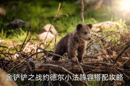 金铲铲之战约德尔小法阵容搭配攻略