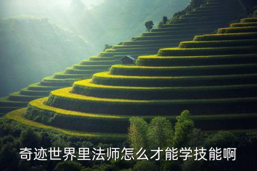奇迹世界里法师怎么才能学技能啊