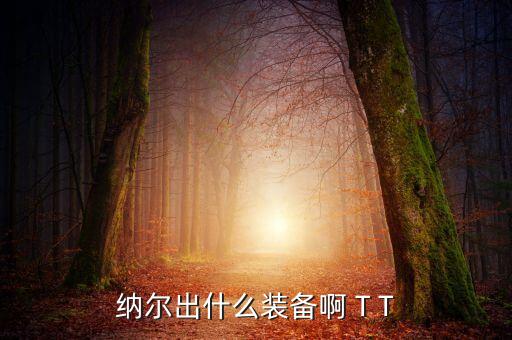 纳尔出什么装备啊 T T