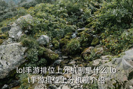 lol手游排位分怎么上的，LOL排位怎么上分