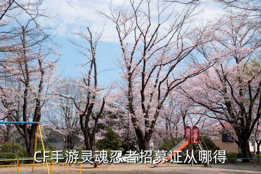CF手游灵魂忍者招募证从哪得