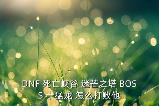 DNF 死亡峡谷 迷芒之塔 BOSS 十猛龙 怎么打败他
