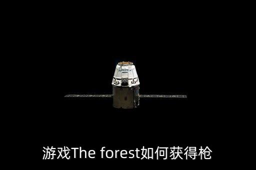 游戏The forest如何获得枪