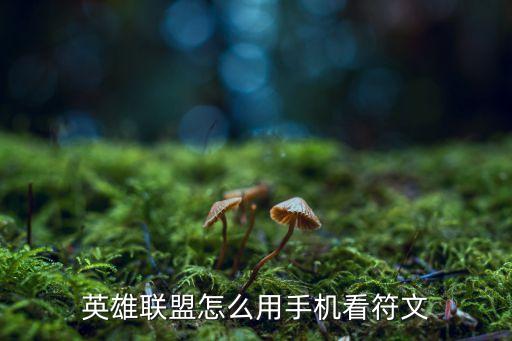 英雄联盟怎么用手机看符文