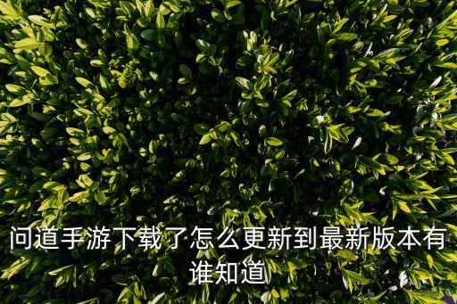 问道手游下载了怎么更新到最新版本有谁知道