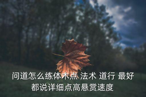 问道怎么练体木点 法术 道行 最好都说详细点高悬赏速度