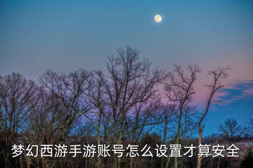 梦幻西游手游账号怎么设置才算安全