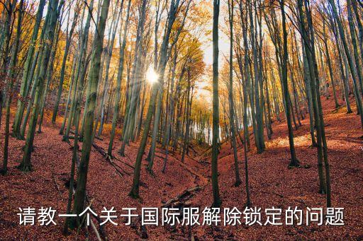 请教一个关于国际服解除锁定的问题