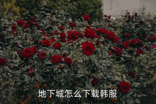 地下城怎么下载韩服
