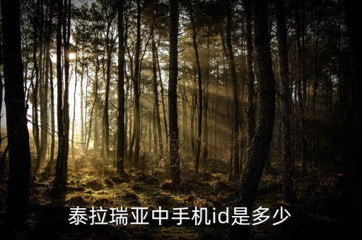 泰拉瑞亚中手机id是多少