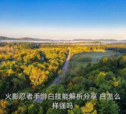 火影忍者手游白技能解析分享 白怎么样强吗