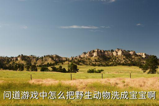 问道游戏中怎么把野生动物洗成宝宝啊