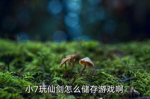 小7玩仙剑怎么储存游戏啊