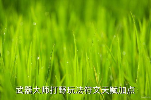 武器大师打野玩法符文天赋加点