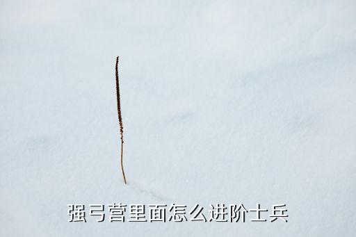 盛世龙城手游怎么进阶，强弓营里面怎么进阶士兵