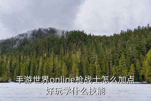手游世界online枪战士怎么加点好玩学什么技能