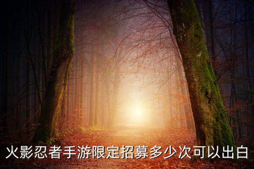 火影忍者手游限定招募多少次可以出白