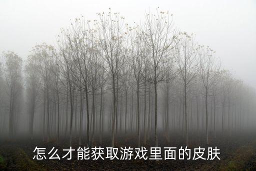 怎么才能获取游戏里面的皮肤