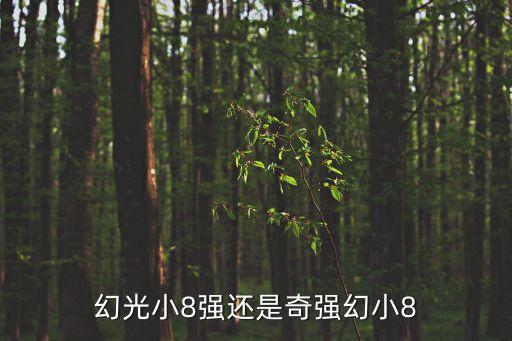 幻光小8强还是奇强幻小8