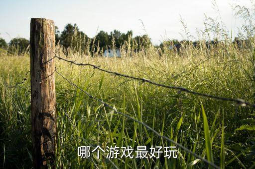 哪个游戏最好玩