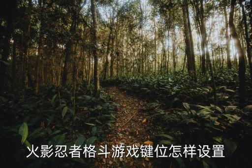 火影忍者手游按键布局怎么调，火影忍者格斗游戏键位怎样设置