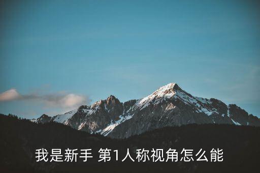 我是新手 第1人称视角怎么能