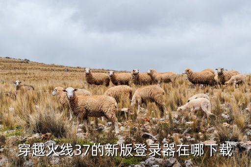 穿越火线37的新版登录器在哪下载