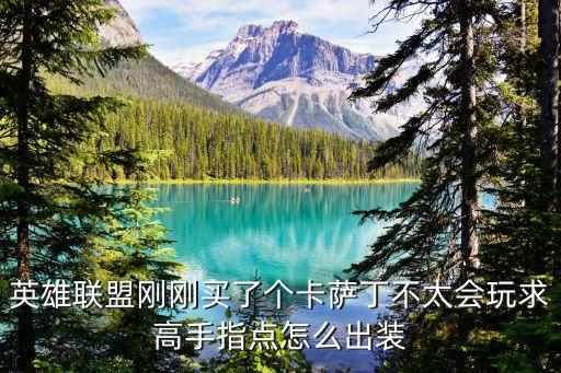 英雄联盟刚刚买了个卡萨丁不太会玩求高手指点怎么出装