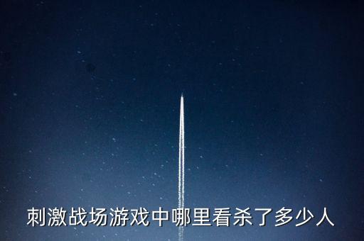 刺激战场游戏中哪里看杀了多少人