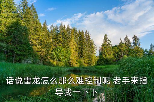 话说雷龙怎么那么难控制呢 老手来指导我一下下