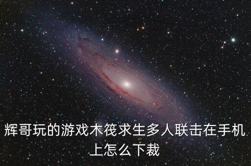 辉哥玩的游戏木筏求生多人联击在手机上怎么下裁