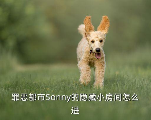罪恶都市Sonny的隐藏小房间怎么进