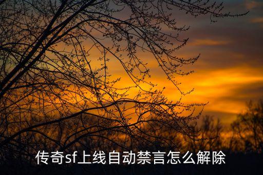 传奇sf上线自动禁言怎么解除