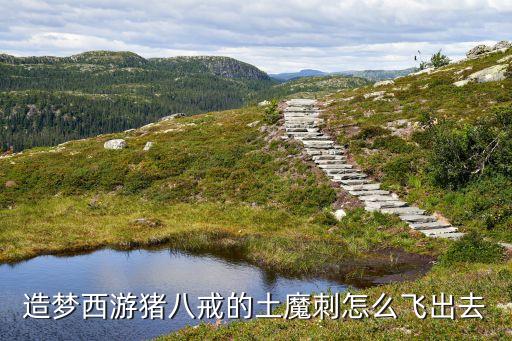 造梦西游猪八戒的土魔刺怎么飞出去