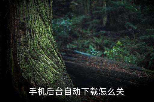 手机后台自动下载怎么关