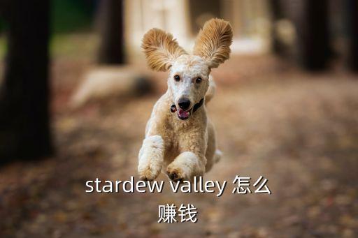 stardew valley 怎么赚钱