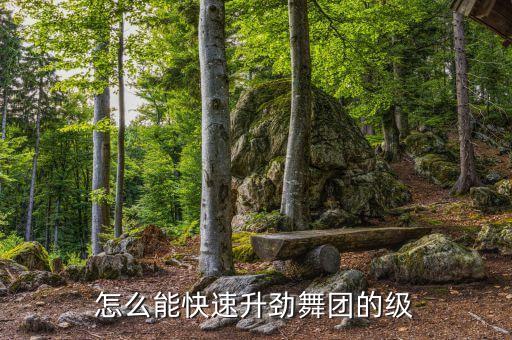 怎么能快速升劲舞团的级