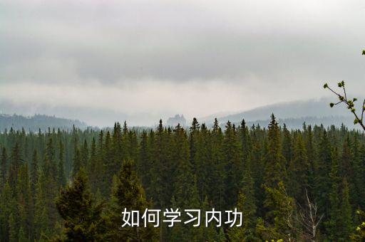 如何学习内功