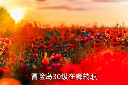 手游冒险岛30级怎么转职，冒险岛30级在哪转职