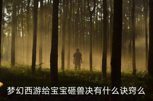 梦幻西游给宝宝砸兽决有什么诀窍么