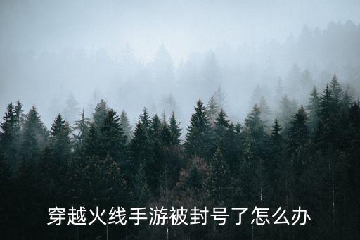 穿越火线手游被封号了怎么办