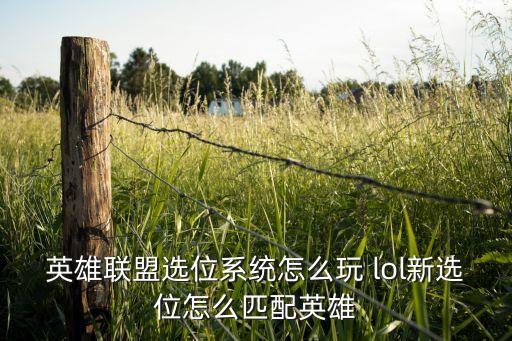 英雄联盟选位系统怎么玩 lol新选位怎么匹配英雄