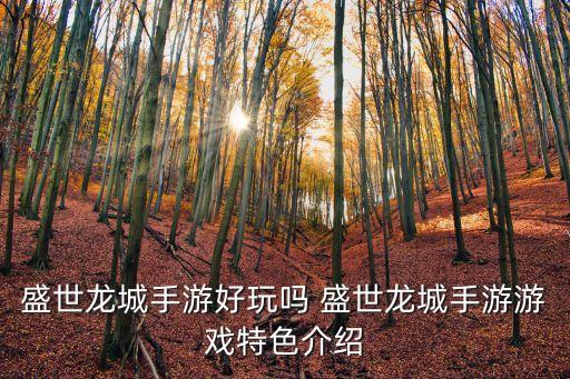 盛世龙城手游好玩吗 盛世龙城手游游戏特色介绍