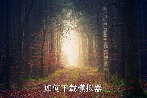 如何下载模拟器