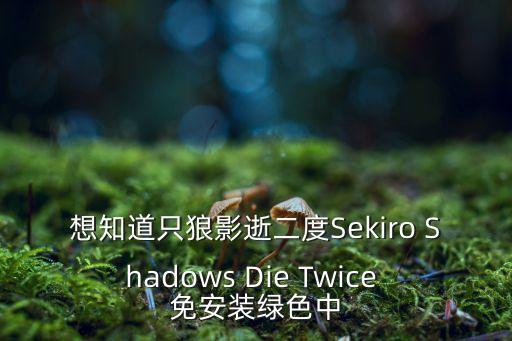 想知道只狼影逝二度Sekiro Shadows Die Twice 免安装绿色中