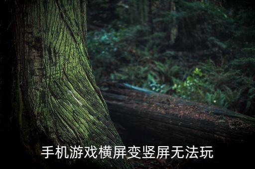 热血江湖手游怎么是竖屏，手机游戏竖屏是甚么缘由怎样能解决