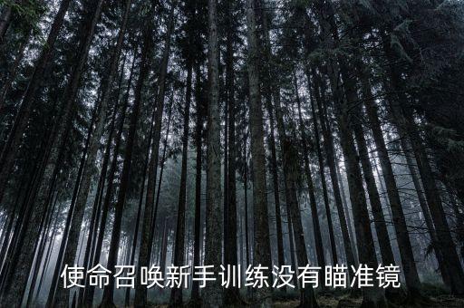 使命召唤手游怎么开启瞄准镜，使命召唤新手训练没有瞄准镜