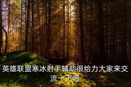 英雄联盟寒冰射手辅助很给力大家来交流一下吧