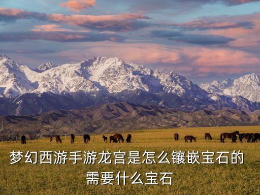 手游龙宫怎么配宝石，梦幻西游手游龙宫是怎么镶嵌宝石的 需要什么宝石
