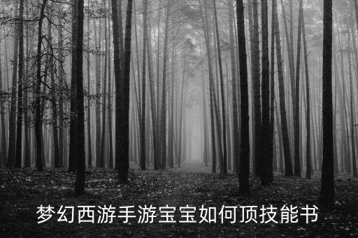 梦幻西游手游宝宝如何顶技能书